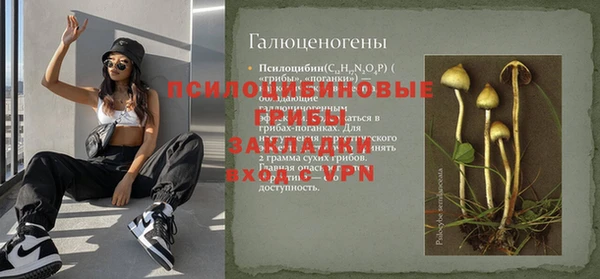 спайс Алзамай