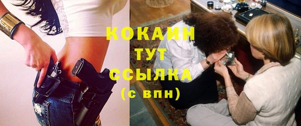 спайс Алзамай