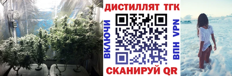 Дистиллят ТГК THC oil  МЕГА как войти  Змеиногорск 