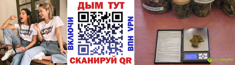 Конопля ГИДРОПОН  что такое   hydra ССЫЛКА  Змеиногорск 
